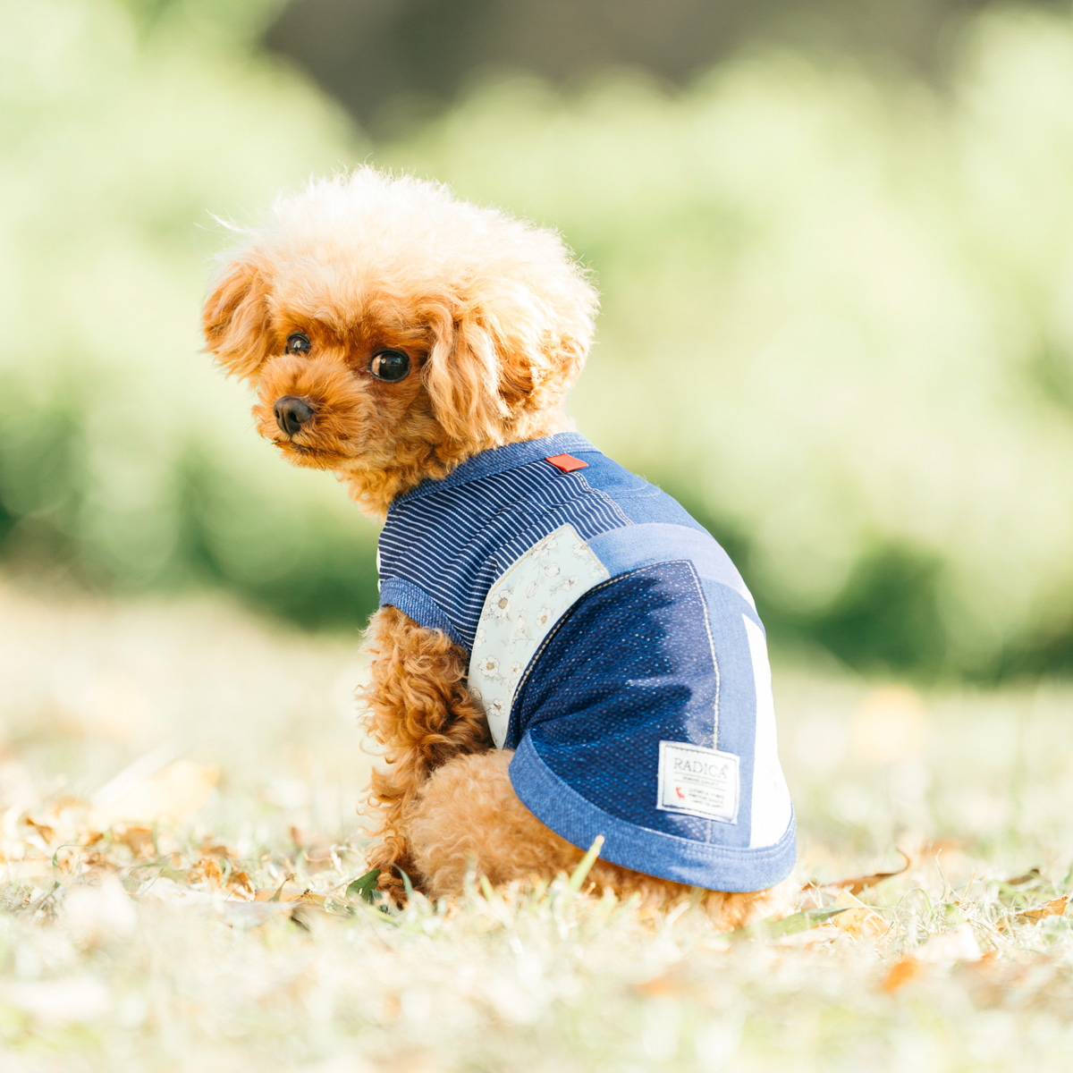 RADICA（ラディカ） 【まとめ買い対象】犬 服 接触冷感 虫よけ