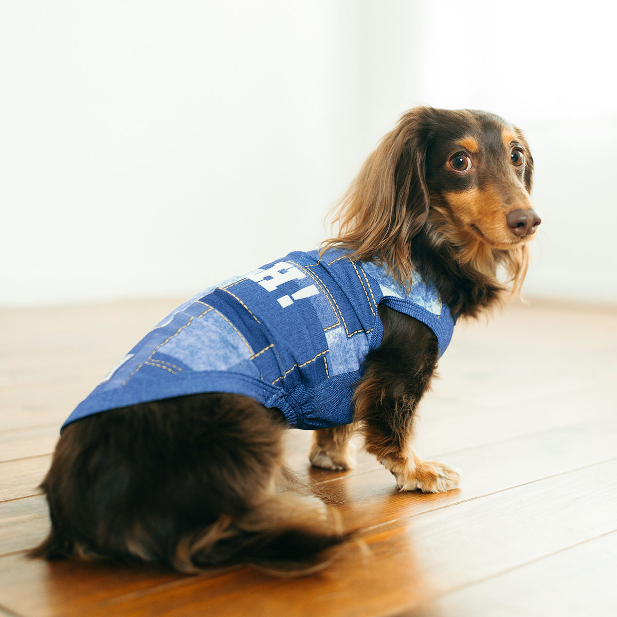 犬の服（柄：チェック）｜犬服、アクセサリー｜犬用品｜ペット用品