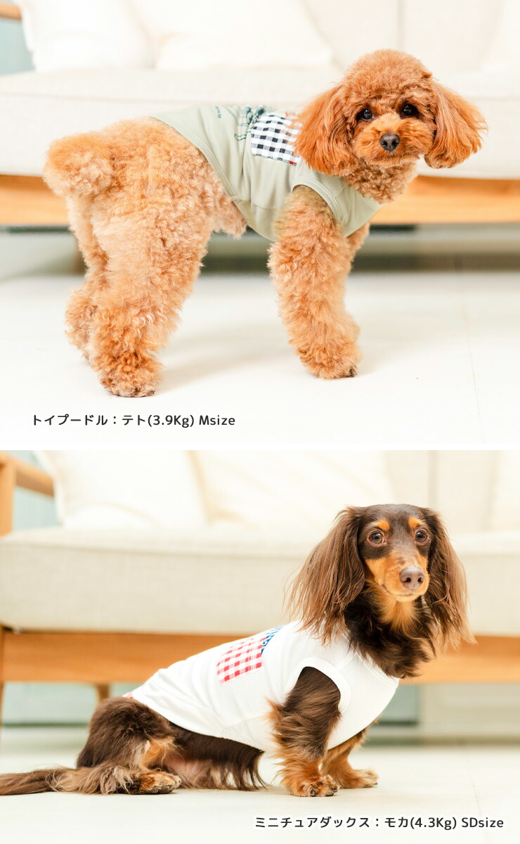 犬 服 虫よけ ラディカ ポケット × メッシュ タンク プレサーモC25 防蚊 ドッグウエア ウェア 犬の服 メール便可｜radica｜18