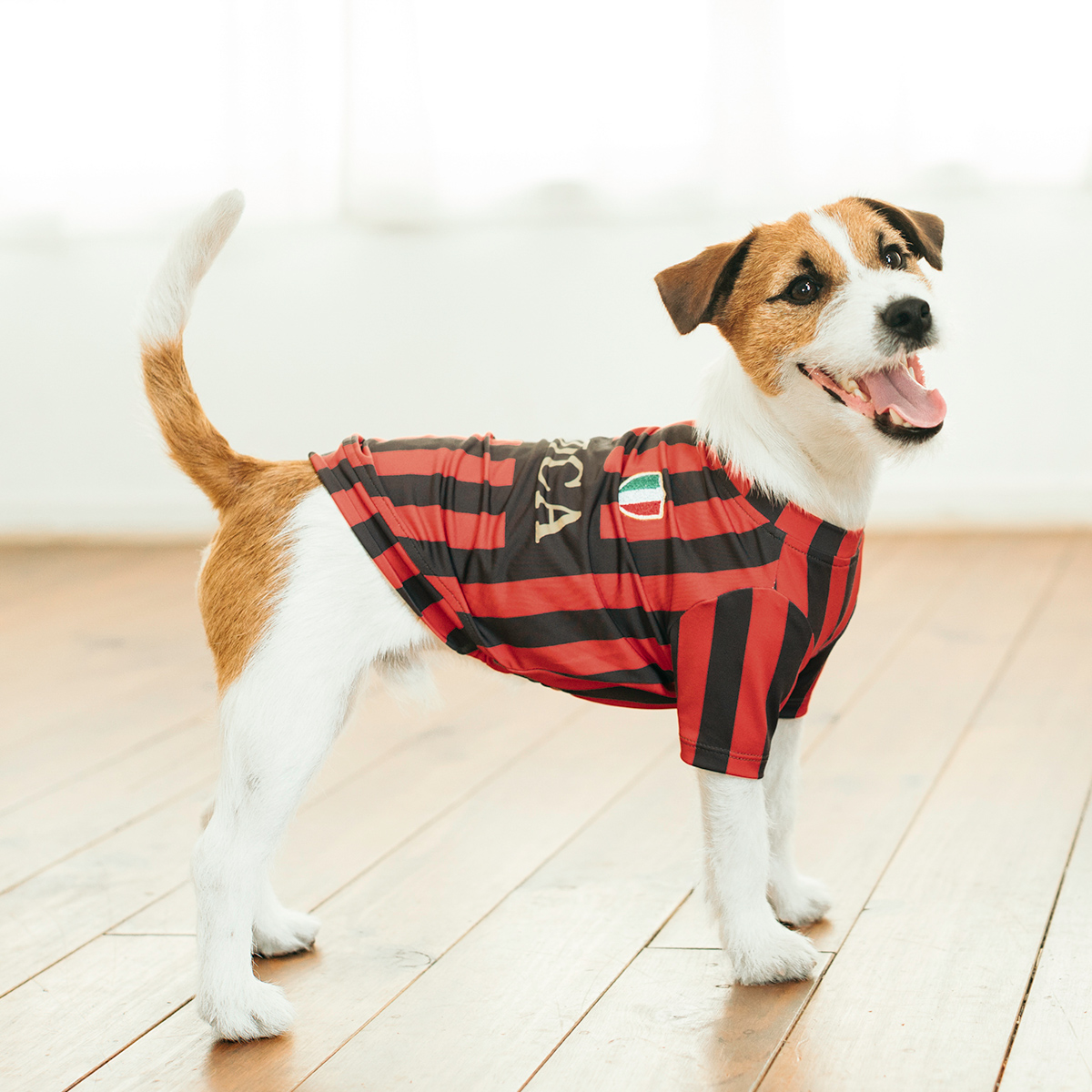RADICA（ラディカ） 【1,290円均一/まとめ買い対象】均一セール 犬 服 