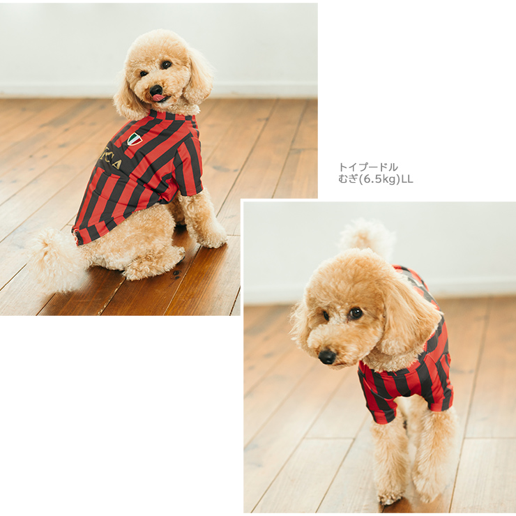 RADICA（ラディカ） 【まとめ買い】均一セール 犬 服 接触冷感 虫よけ
