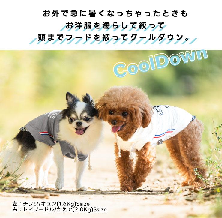 犬 服 接触冷感 虫よけ ラディカ ロゴ × シャツ IN クールフーディ ドッグウエア プレサーモC25 防蚊 水着素材 メール便可｜radica｜11