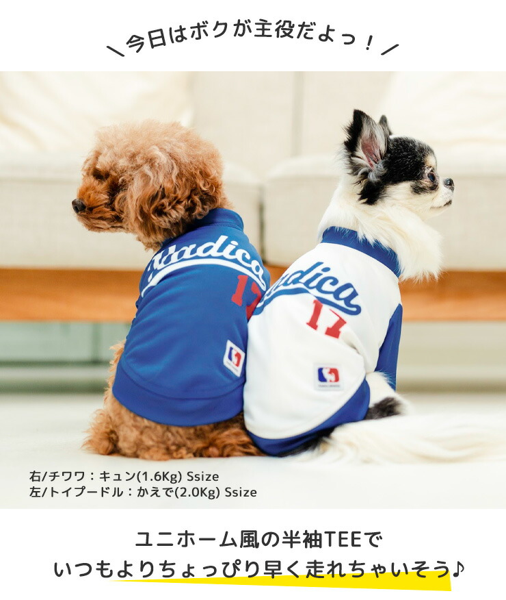 犬 服 接触冷感 虫よけ ラディカ ユニフォーム クール 半袖TEE 野球 ドッグウエア 犬の服 プレサーモC25 防蚊 水着素材 メール便可｜radica｜17