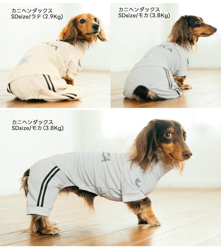 RADICA（ラディカ） 【まとめ買い対象】犬 服 防虫 接触冷感 虫よけ