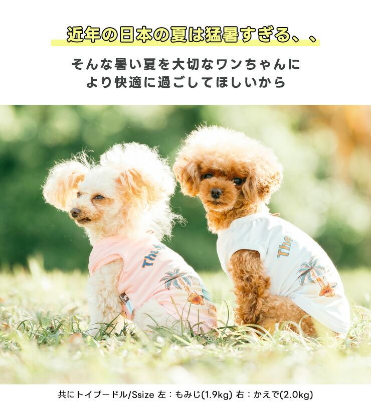 【1,490円均一/まとめ買い対象】犬 服 接...の詳細画像3