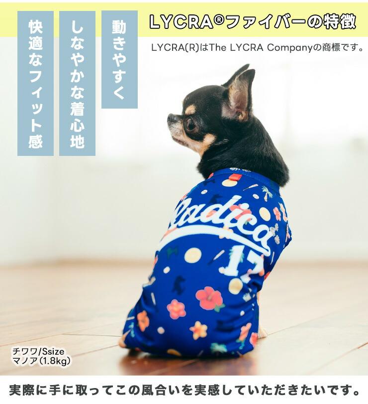 RADICA（ラディカ） 【990円均一/まとめ買い対象】均一セール 犬 服
