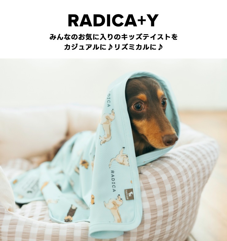 【予約5月25日順次発送】【まとめ買い】犬 猫...の詳細画像1