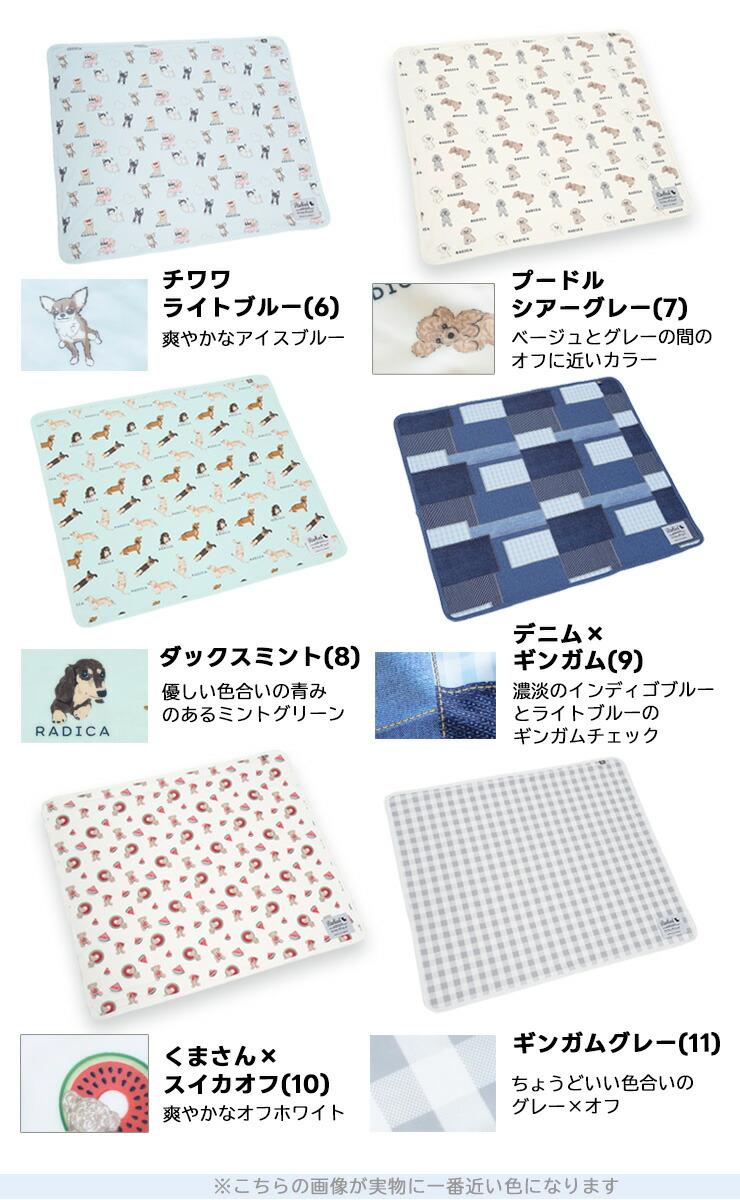【予約5月25日順次発送】【まとめ買い】犬 猫...の詳細画像3