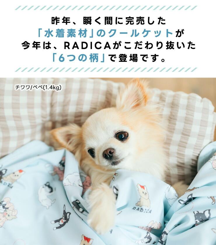 【予約5月25日順次発送】【まとめ買い】犬 猫...の詳細画像2