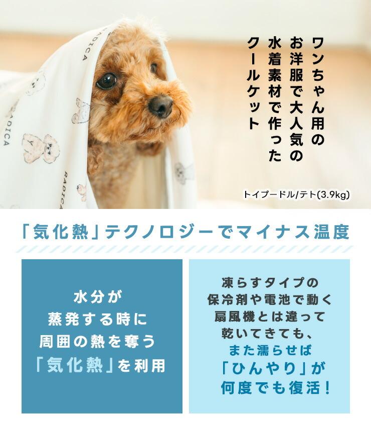 【予約5月25日順次発送】【まとめ買い】犬 猫...の詳細画像4