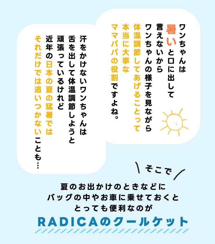 【予約5月25日順次発送】【まとめ買い】犬 猫...の詳細画像5