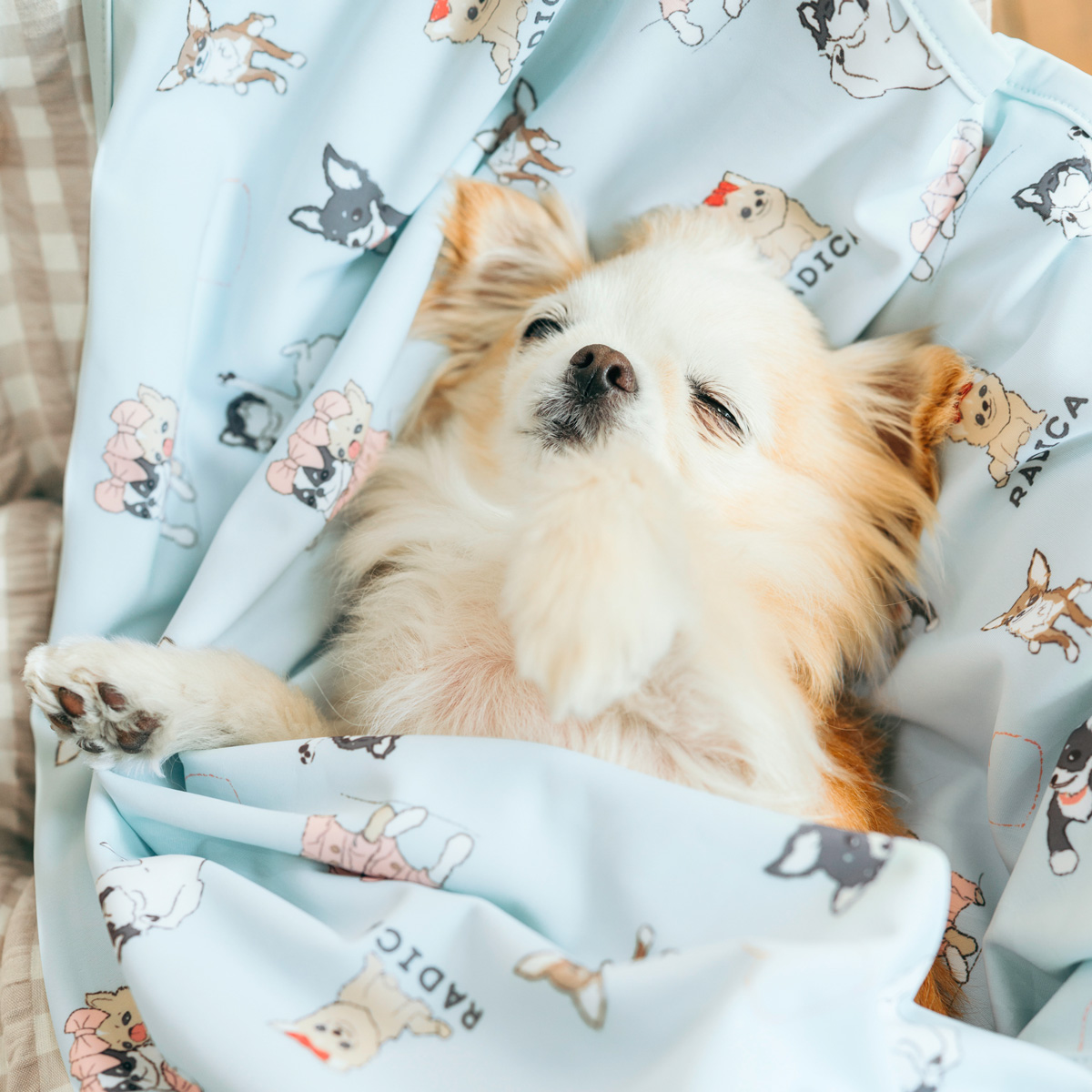 RADICA（ラディカ） 【まとめ買い】犬 猫 接触冷感 水着素材のクール 