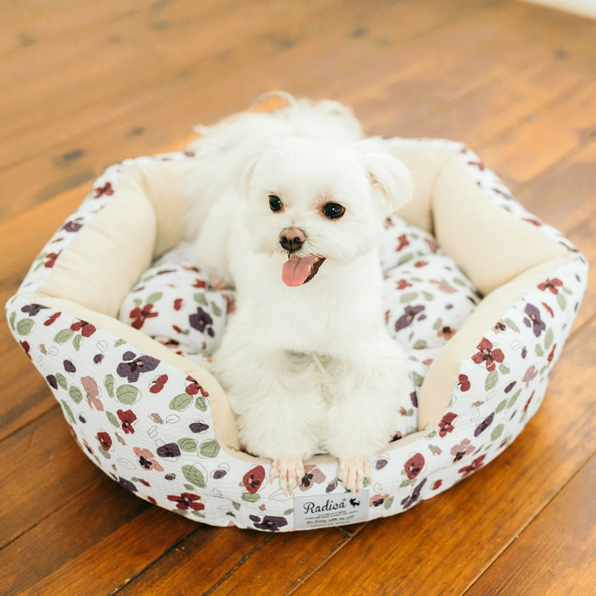 RADICA（ラディカ） 【サマーSALE】【まとめ買い対象】犬 猫 ベッド 綿