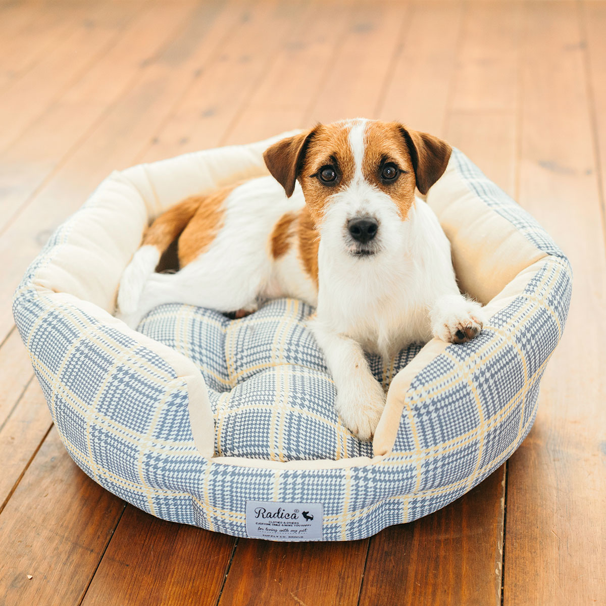 RADICA（ラディカ） 【サマーSALE】【まとめ買い対象】犬 猫 ベッド 綿