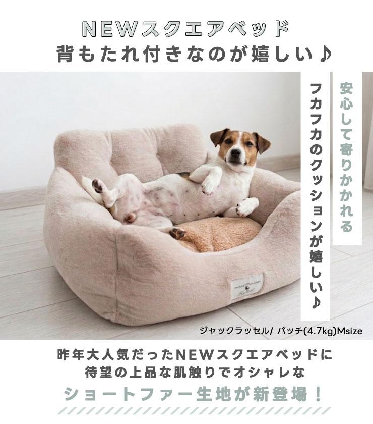 【予約9月25日順次発送】【早割20%OFF】...の詳細画像2