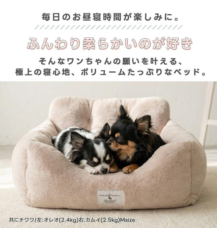 【予約9月25日順次発送】【早割20%OFF】...の詳細画像5