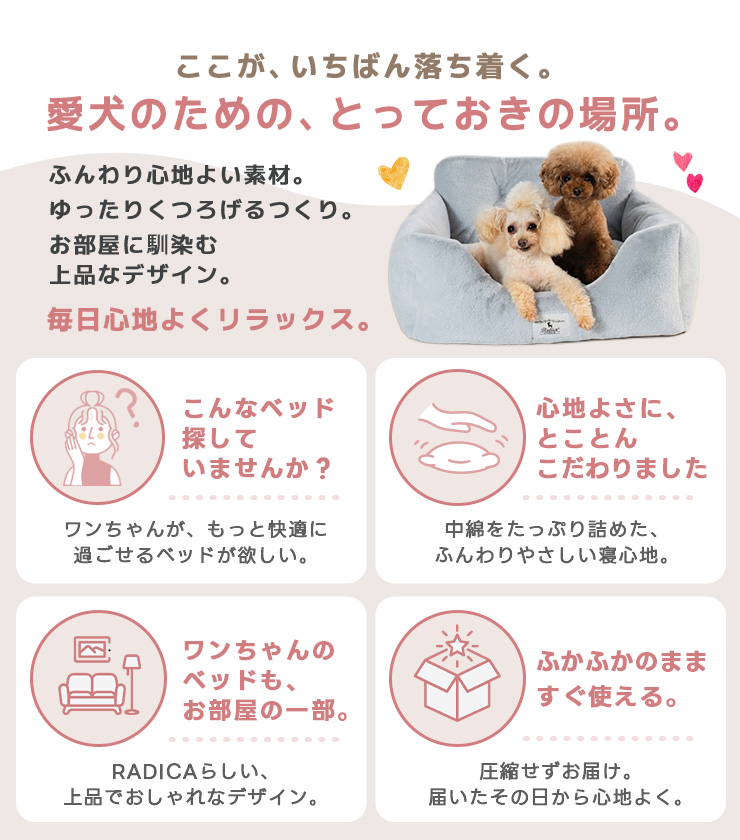 【予約9月25日順次発送】【早割20%OFF】...の詳細画像4