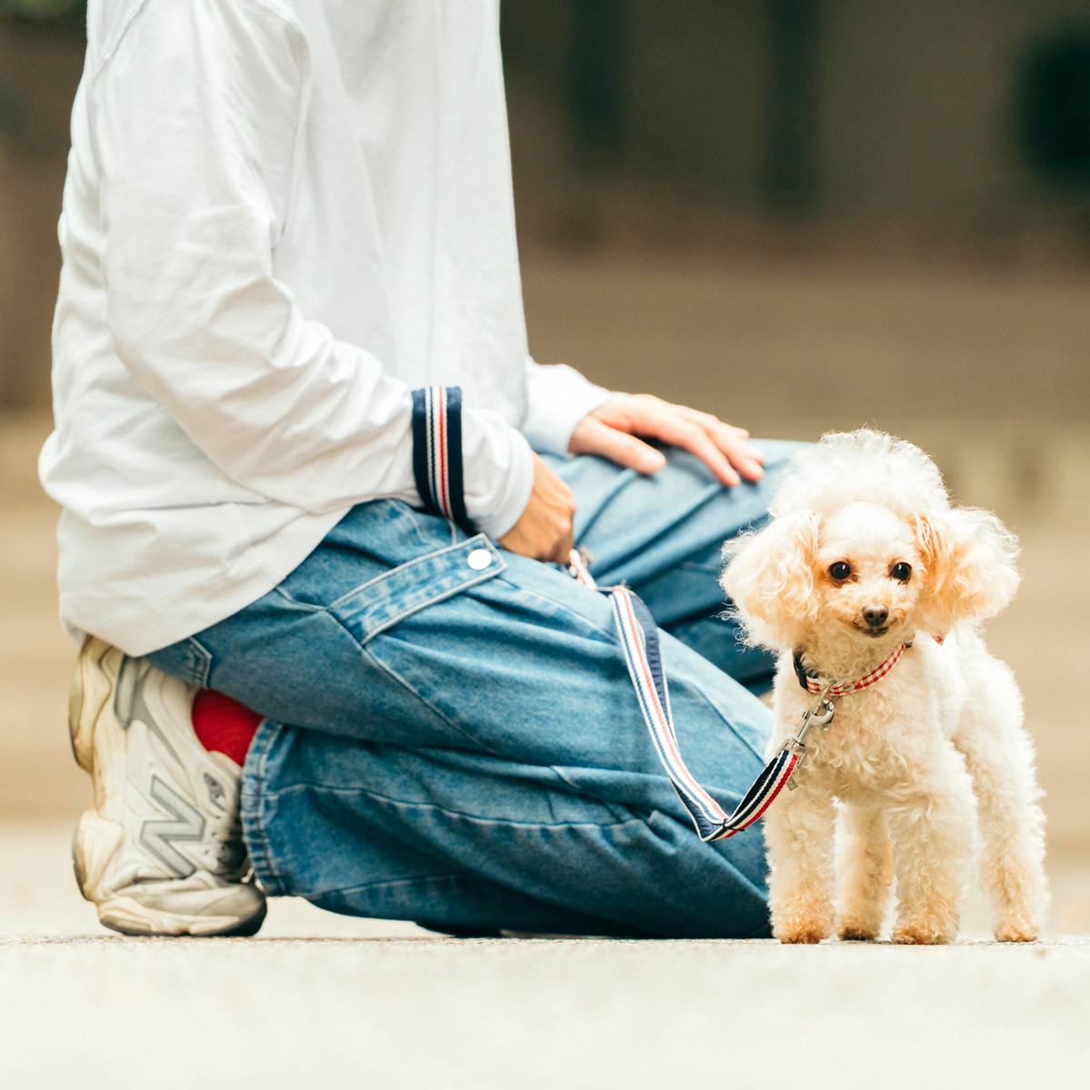 【まとめ買い対象】犬 小型犬 犬用 ラディカ RADICA+Y 単品 リード（耐荷重〜5Kgまで)  ファッションリード 散歩 お出かけ メール便可 | RADICA | 01