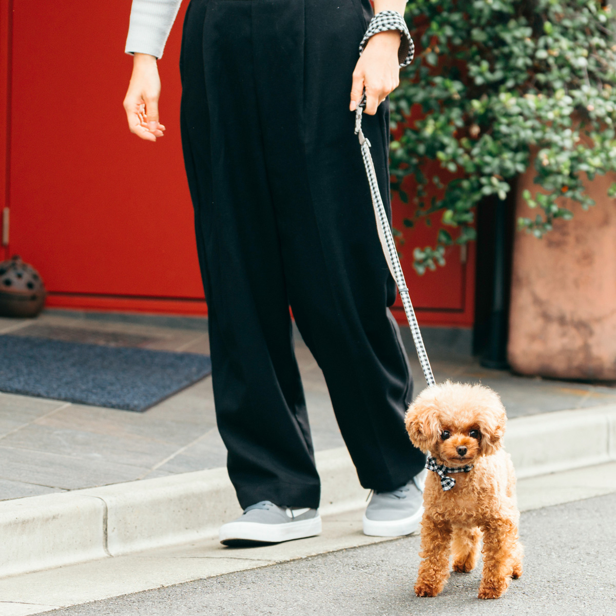 【まとめ買い対象】犬 小型犬 犬用 ラディカ RADICA+Y 単品 リード（耐荷重〜5Kgまで)  ファッションリード 散歩 お出かけ メール便可 | RADICA | 04