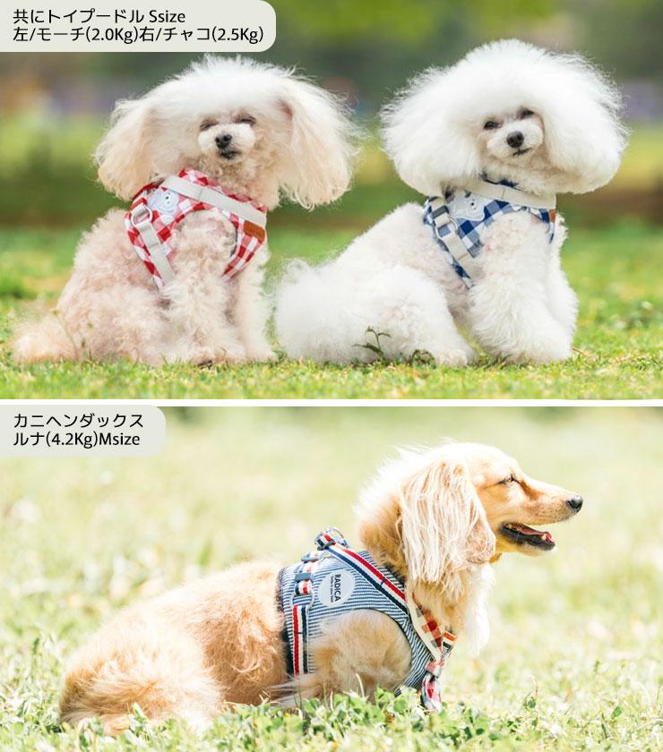 まとめ買い対象】犬 小型犬 胴輪 ラディカ RADICA 単品 ハーネス S M L