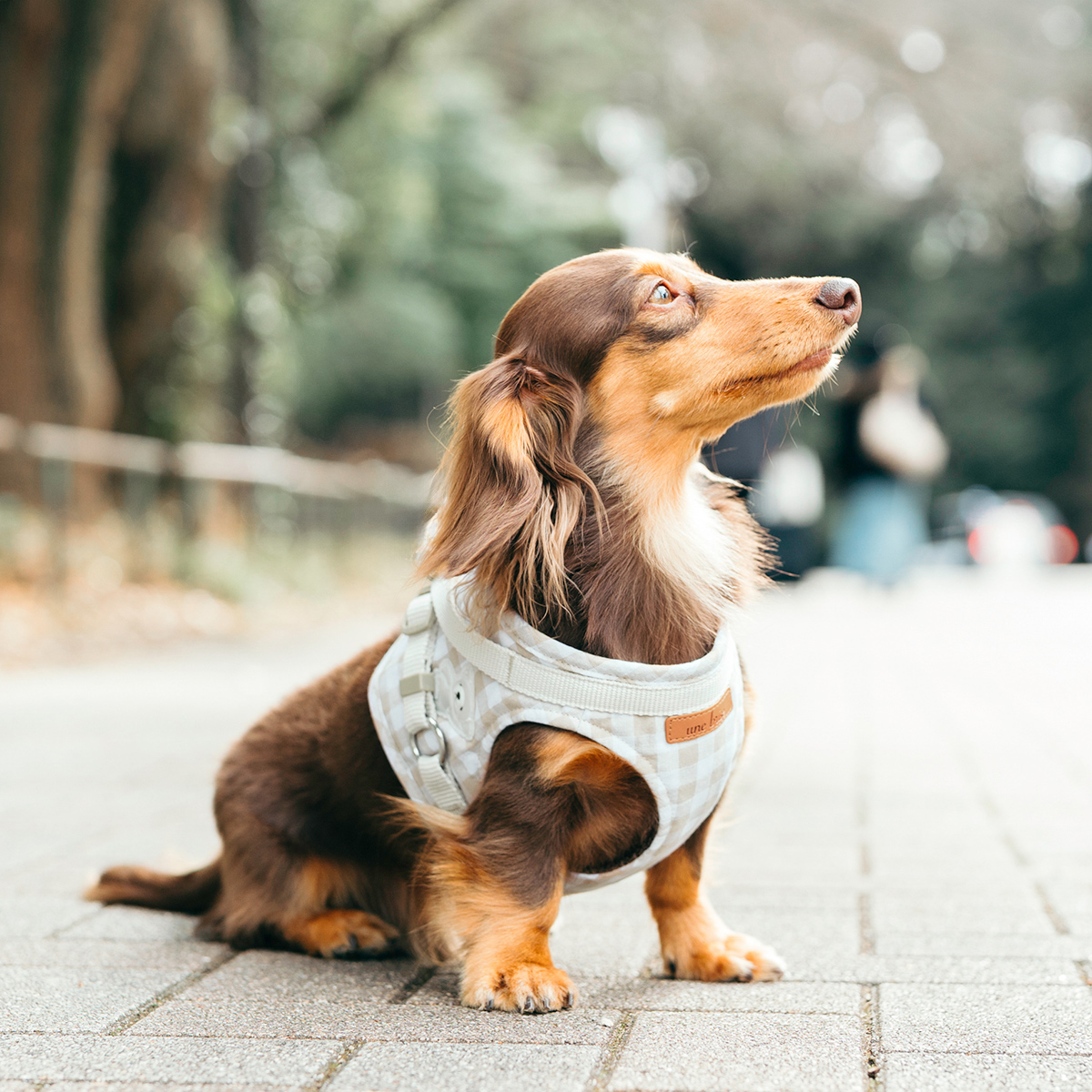 まとめ買い対象】犬 小型犬 胴輪 ラディカ RADICA 単品 ハーネス S M L