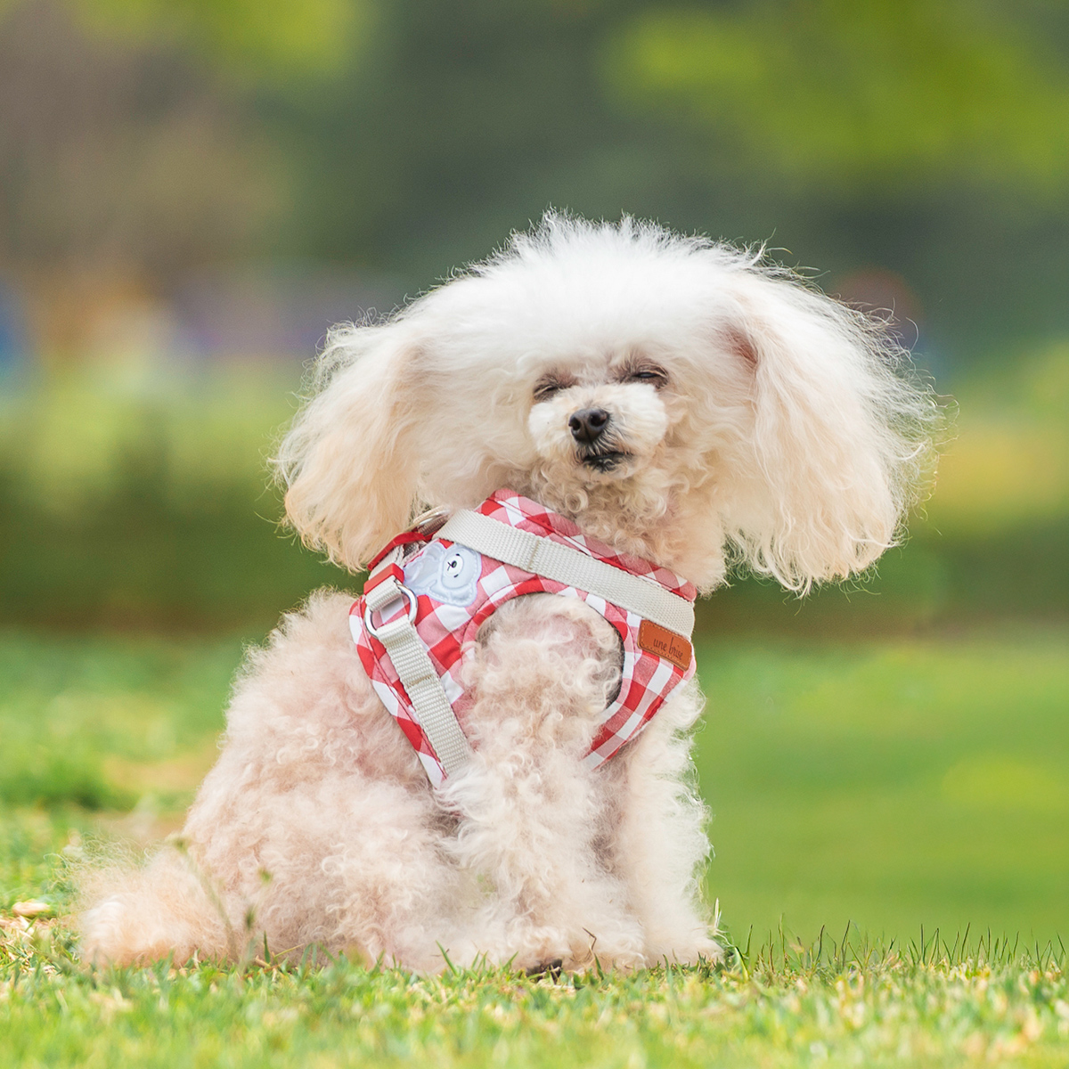 【まとめ買い対象】犬 小型犬 胴輪 ラディカ RADICA 単品 ハーネス S M L LL MFサイズ 簡単着装 通気性 耐久性 安全 洗える 迷子防止 メール便可 |  | 01