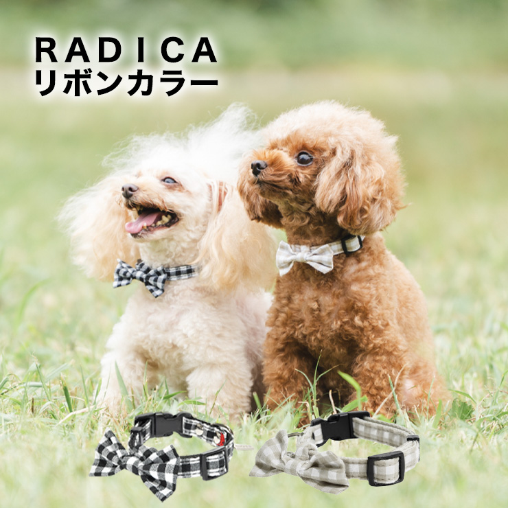 【グッズまとめ買い対象】犬 首輪 ラディカ RADICA リボン カラー 単品 SS S M L おしゃれ かわいい 小型犬 猫 ペットカラー  迷子防止 脱走防止 メール便可