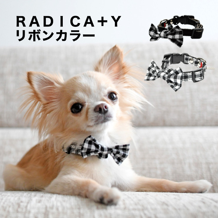 犬 首輪 ラディカ RADICA リボン カラー 単品 SS S M L おしゃれ かわいい 小型犬 猫 ペットカラー 迷子防止 脱走防止 メール便可