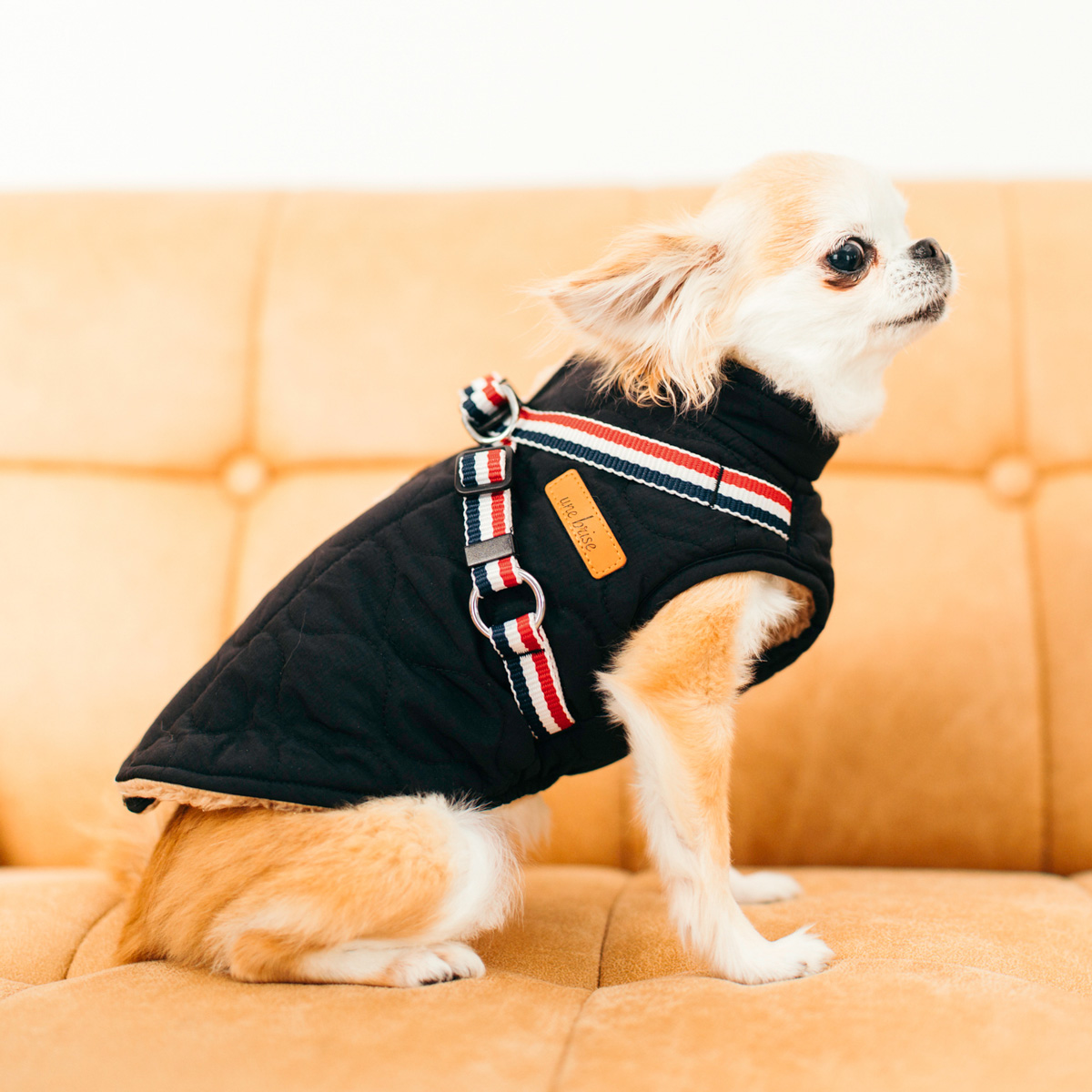 犬の服 RADICA - 開催中！イベント ♪ SALE｜Yahoo!ショッピング