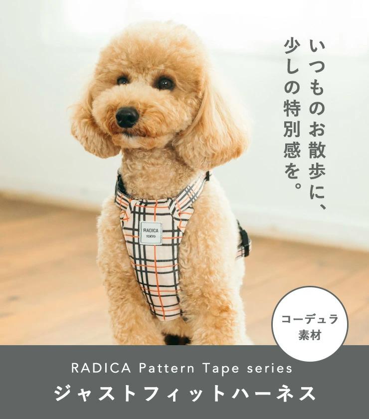 【サマーSALE】【まとめ買い】【レビュー対象...の詳細画像1