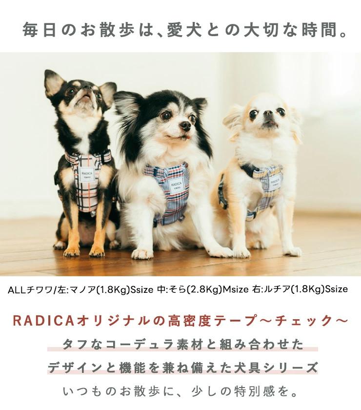 【サマーSALE】【まとめ買い】【レビュー対象...の詳細画像2