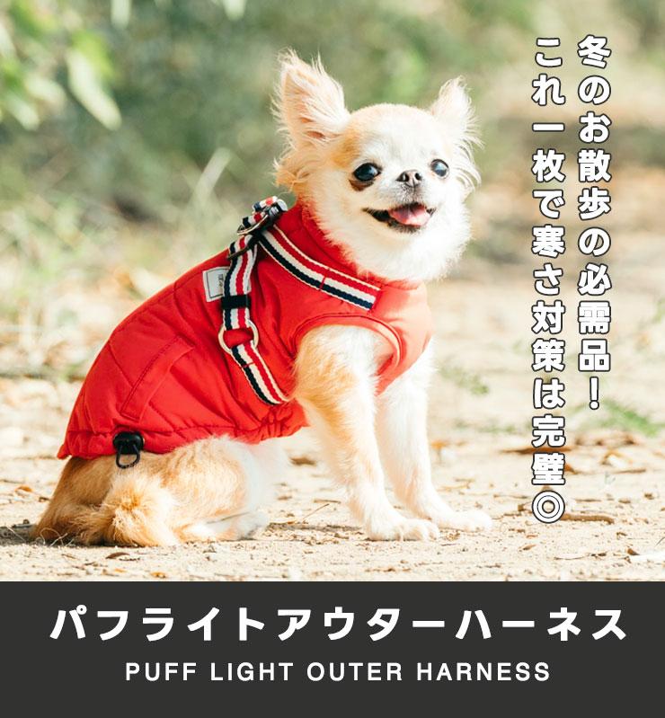 【予約9月25日順次発送】【早割20%OFF】...の詳細画像1