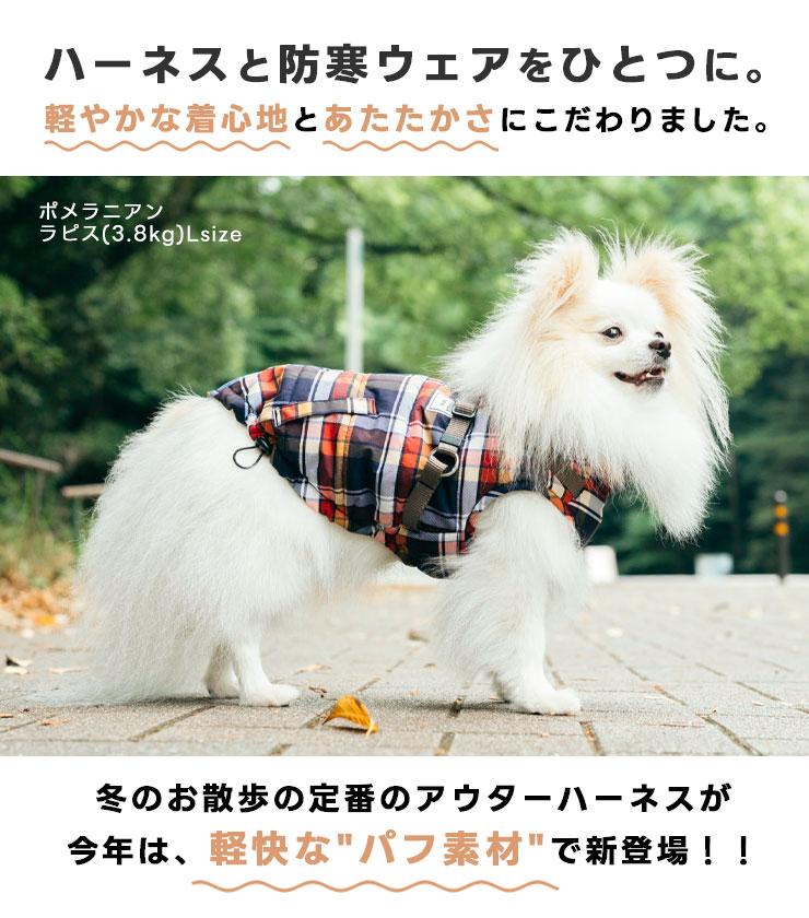 【予約9月25日順次発送】【早割20%OFF】...の詳細画像2