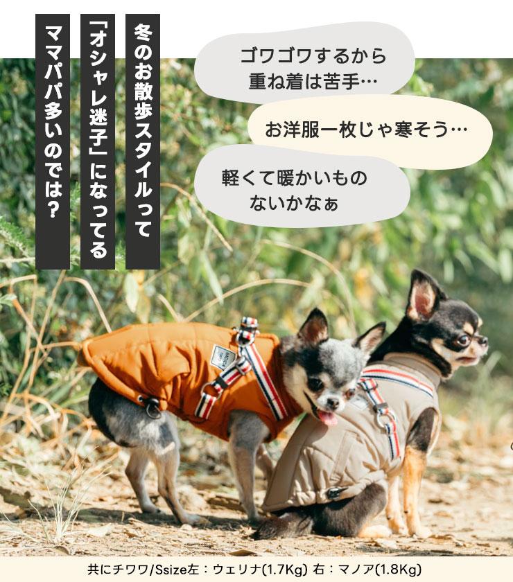 【予約9月25日順次発送】【早割20%OFF】...の詳細画像5