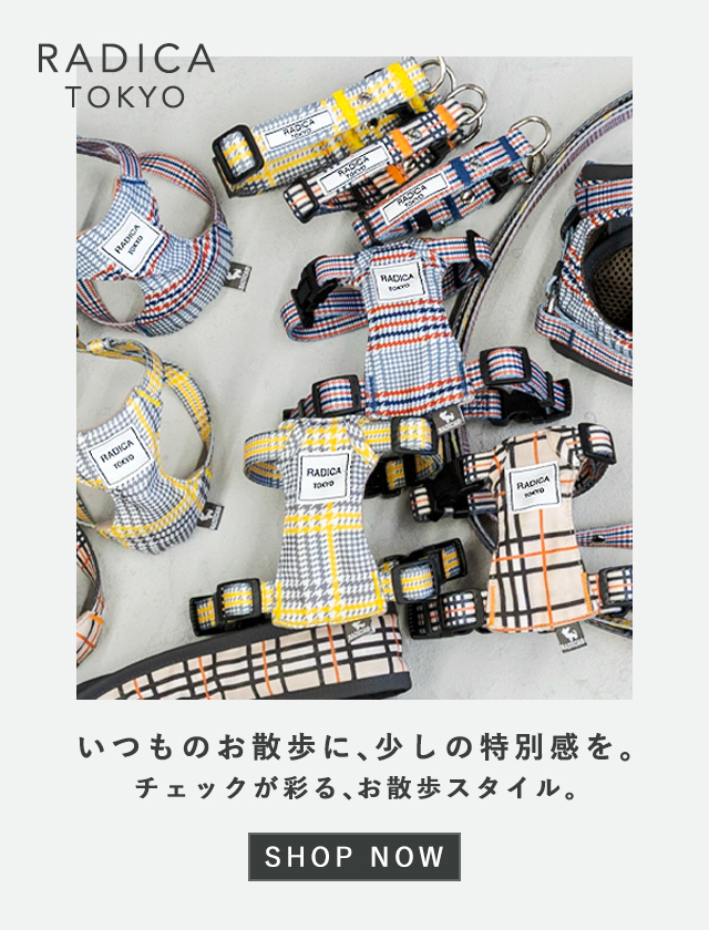 SP用②　ベッド