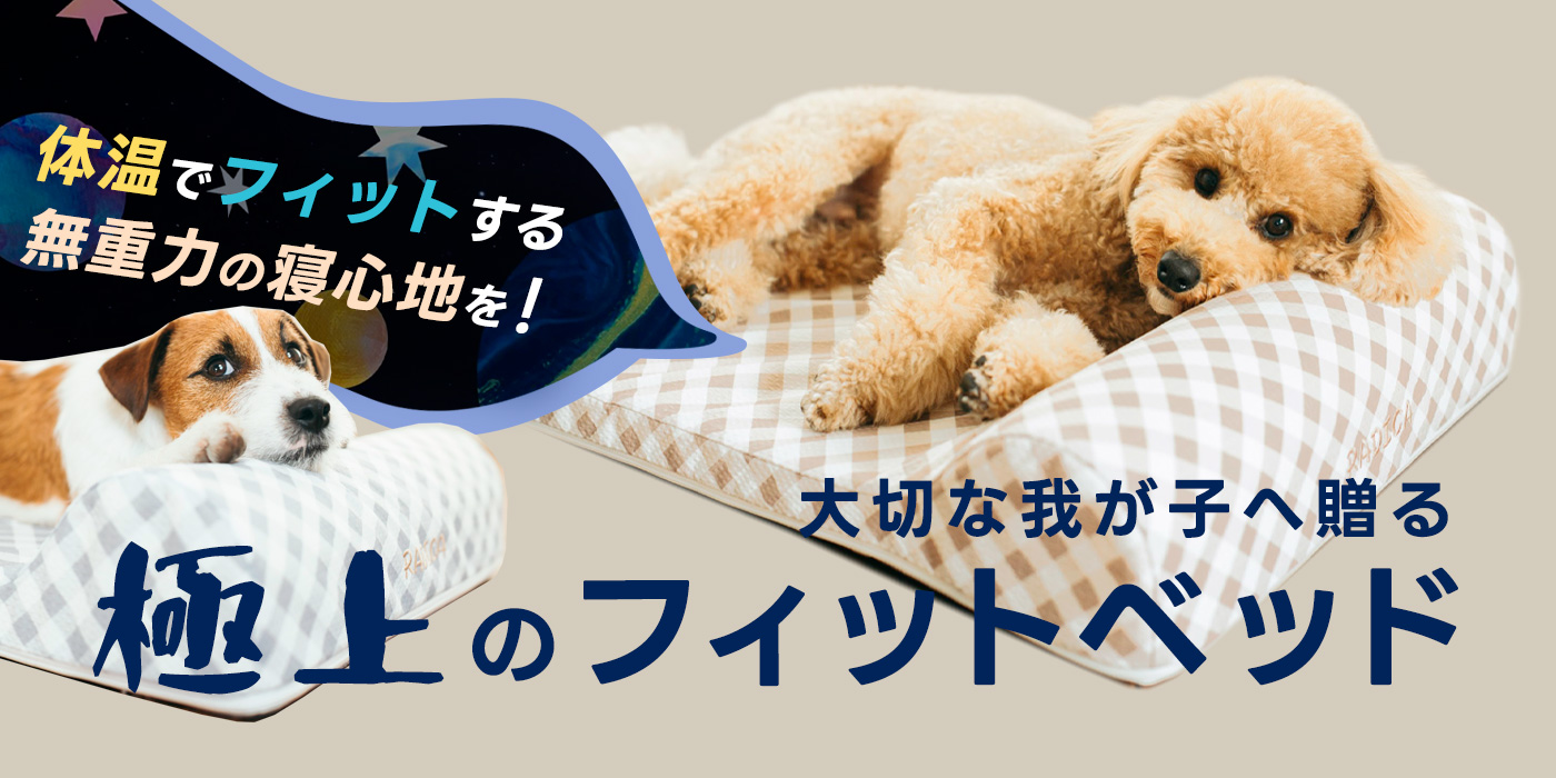 PC用②　イベント画像