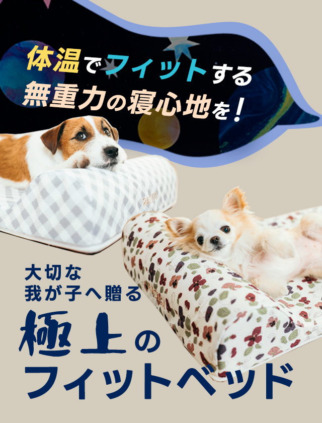 SP用②　新型お散歩