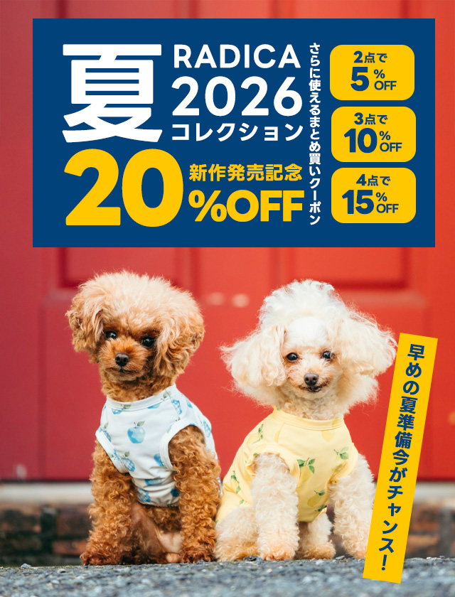 SP用②　ベッド