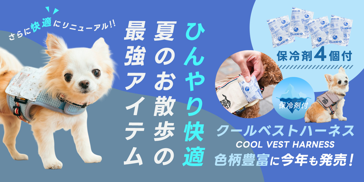 PC用②　イベント画像