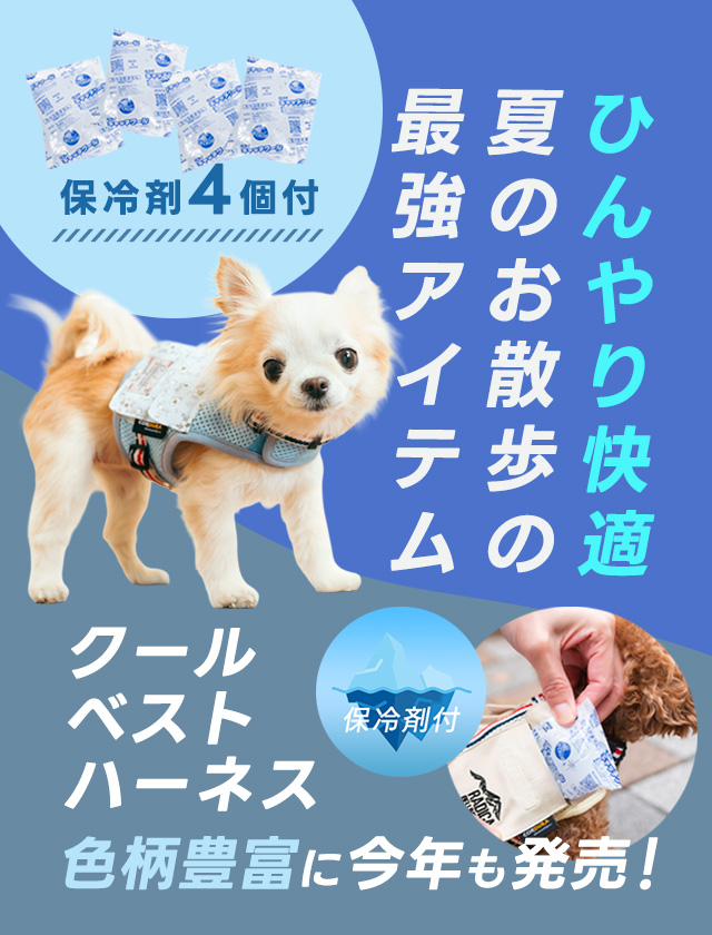 SP用②　ロープリード