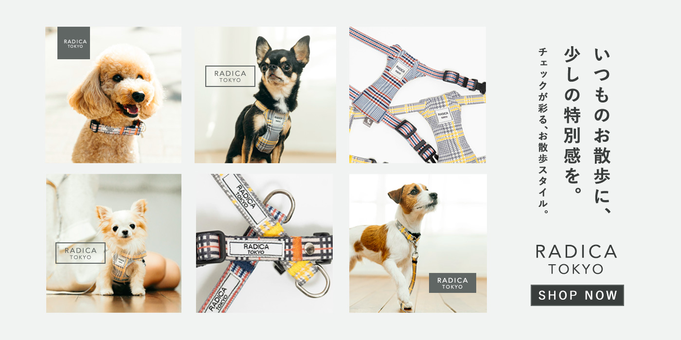 PC用②　ロープ