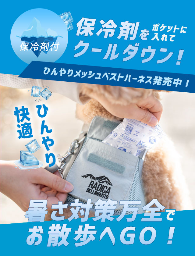 SP用③　クールハーネス