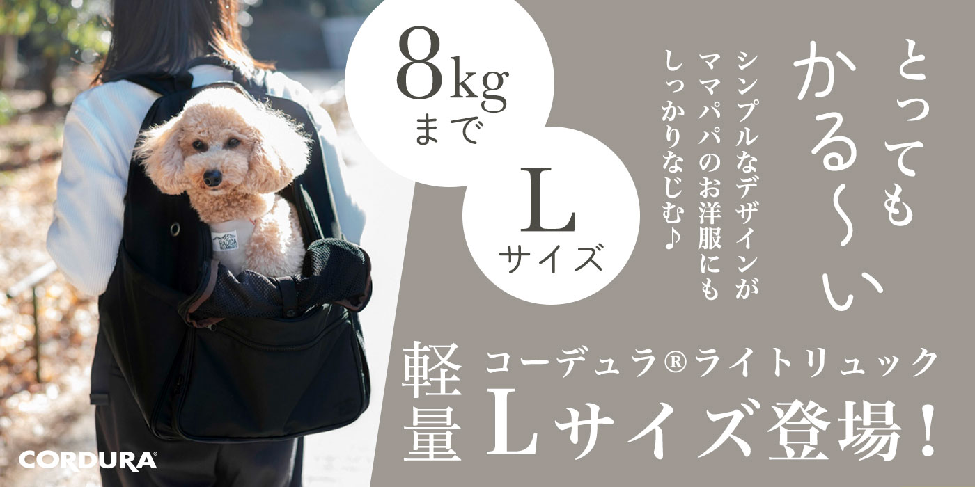 PC用➁　ライトリュック