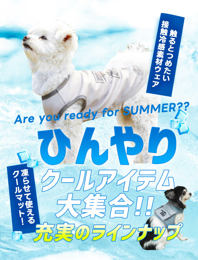 SP用⑤　ひんやり
