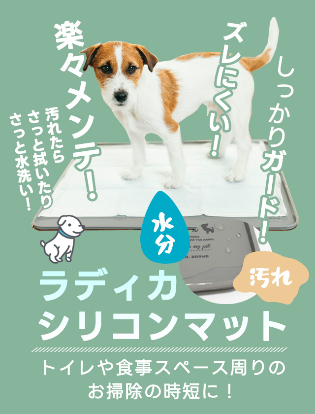 SP用③　シリコンマット