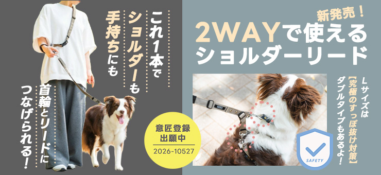 PC用②　ショルダーリード