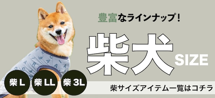 柴犬サイズ