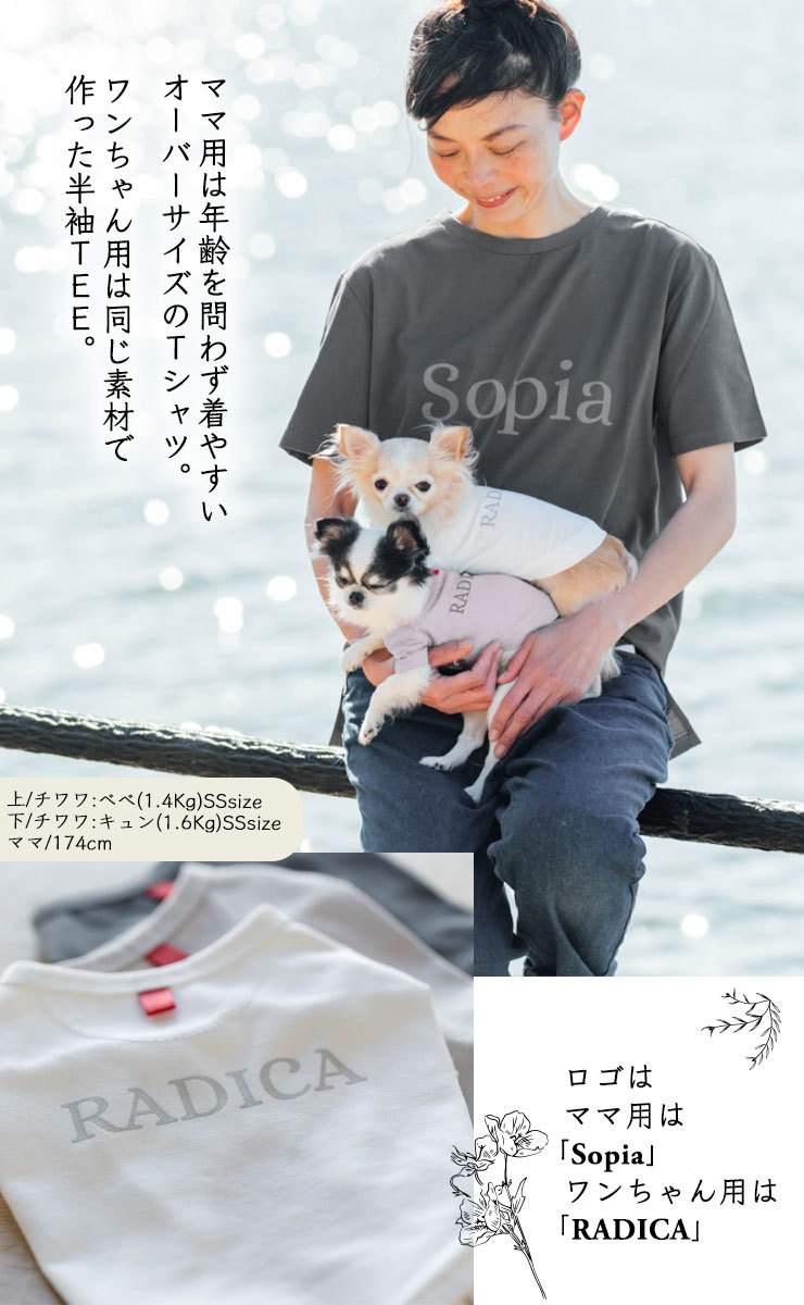 本命ギフト 半額セール Sale 犬 服 ラディカ Unebrise ソロテックス 半袖tee ドッグウエア ウェア 抗菌 防臭 伸縮性 ソフト 機能 素材 メール便可 Aynaelda Com