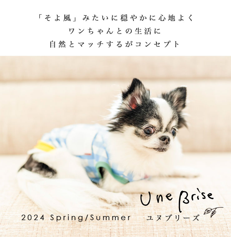 【まとめ買い対象】犬 服 接触冷感 虫よけ ラディカ ポケット×シャツIN クールタンク ドッグウエア プレサーモC25 防蚊 水着素材 メール便可｜radica｜11