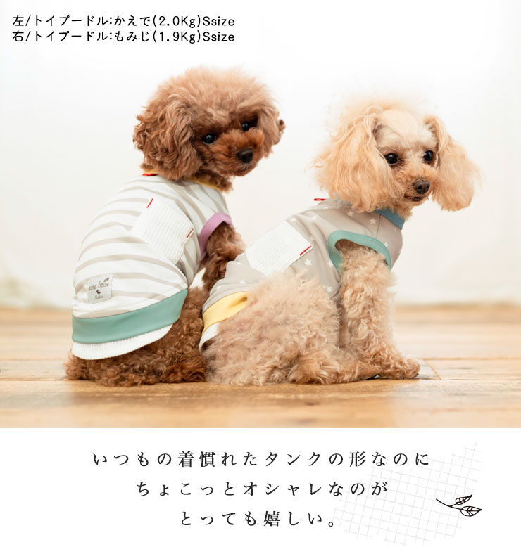 【まとめ買い対象】犬 服 接触冷感 虫よけ ラディカ ポケット×シャツIN クールタンク ドッグウエア プレサーモC25 防蚊 水着素材 メール便可｜radica｜14